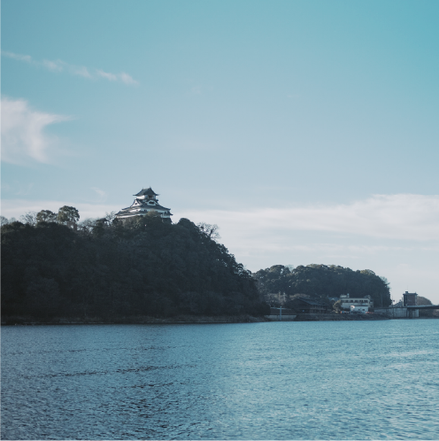 穏やかな水辺の景色